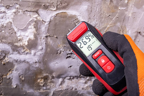 Best Mold Remediation Experts  in Ponderay, ID
