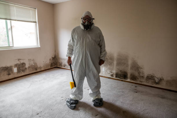 Best Mold Cleaning Services  in Ponderay, ID